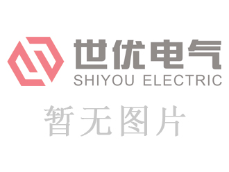 四川能投宜賓電力工程建設(shè)有限公司